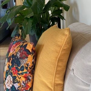 Meet your Posher, Natasha